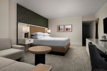 Room, 1 King Bed