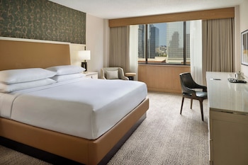 Executive Suite, 1 King Bed