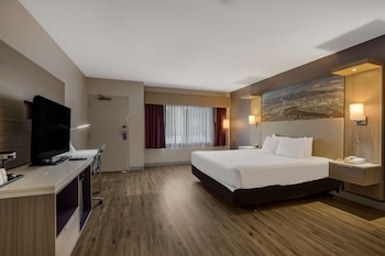 Standard Room, 1 King Bed, Accessible, Refrigerator (Walk-in Shower;Freeway Side)
