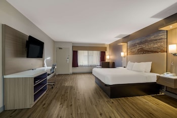 Standard Room, 1 King Bed, Non Smoking, Refrigerator