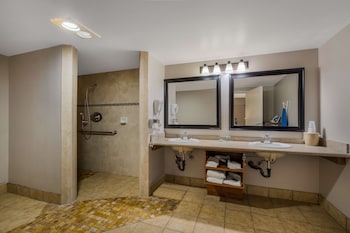 Standard Room, 1 King Bed, Accessible, Refrigerator (Walk-in Shower;Freeway Side)