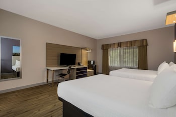 Standard Room, 2 Queen Beds, Accessible, Non Smoking (Walk-in Shower;Freeway Side)