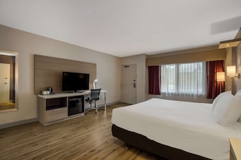 Standard Room, 1 King Bed, Accessible, Refrigerator (Walk-in Shower;Freeway Side)