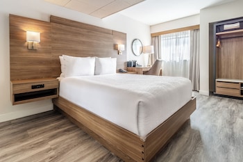 One Queen Bed Interior