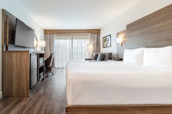 Room, 1 King Bed with Sofa bed, Kitchenette, Corner