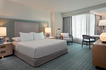 Room, 1 King Bed, Accessible (Shower)