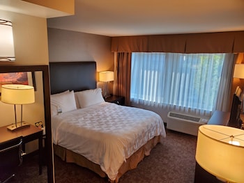 Basic Room, 1 King Bed