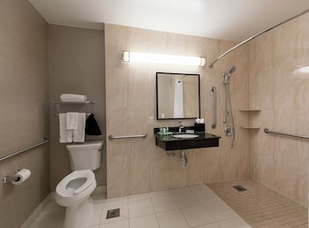 Traditional Room, 1 King Bed, Roll-in Shower
