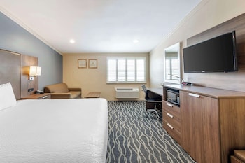 Standard Room, 1 King Bed, Accessible, Refrigerator & Microwave
