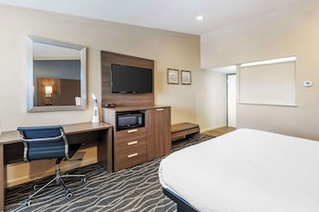 Standard Room, 1 King Bed, Accessible, Refrigerator & Microwave