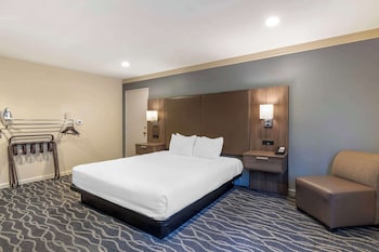 Executive Room, 1 King Bed, Non Smoking, Refrigerator & Microwave