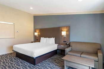 Standard Room, 1 King Bed, Accessible, Refrigerator & Microwave