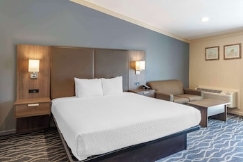 Standard Room, 1 King Bed, Accessible, Refrigerator & Microwave