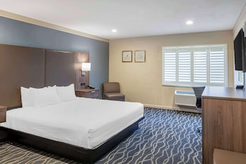 Standard Room, 1 King Bed, Accessible, Refrigerator & Microwave