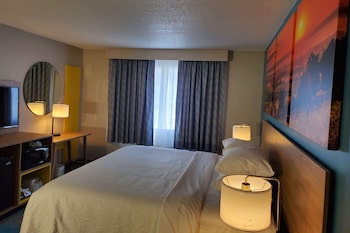 Room, 1 King Bed, Non Smoking (mini-fridge, AC, bathtub/shower)