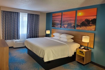 Room, 1 King Bed, Non Smoking (mini-fridge, AC, bathtub/shower)