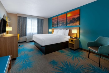 Room, 1 King Bed, Non Smoking (mini-fridge, AC, bathtub/shower)