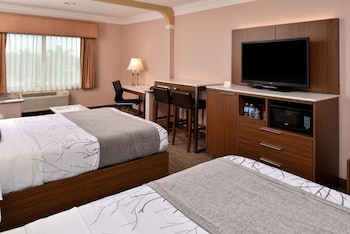 Standard Room, Multiple Beds, Non Smoking, Refrigerator & Microwave (with Sofabed)