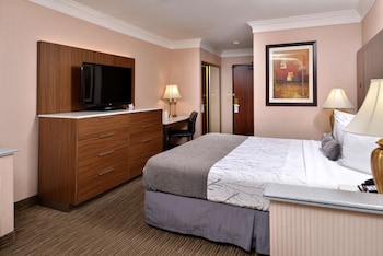 Standard Room, 1 King Bed, Accessible, Non Smoking