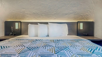 Standard Room, 1 King Bed, Accessible, Non Smoking