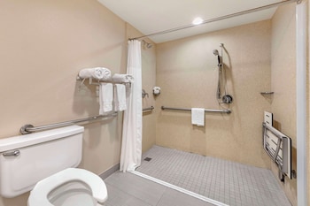 Standard Room, 1 King Bed, Accessible, Non Smoking