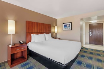 Standard Room, 1 King Bed, Non Smoking, Refrigerator & Microwave