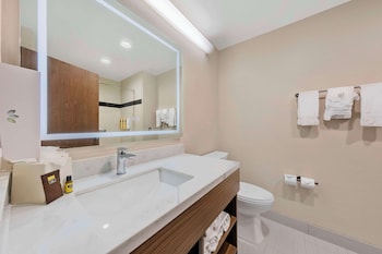 Suite, 1 King Bed, Non Smoking, Jetted Tub (with Sofabed)