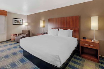 Standard Room, 1 King Bed, Non Smoking, Refrigerator & Microwave
