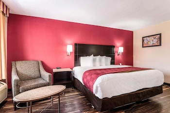 Room, 1 King Bed, Accessible, Non Smoking