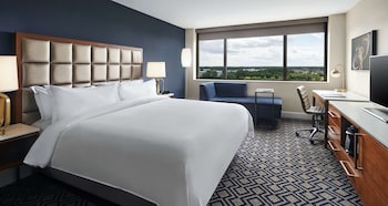 Room, 1 King Bed