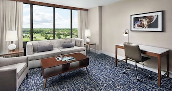 Suite, 1 King Bed with Sofa bed