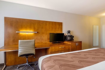 Room, 1 King Bed, Accessible, Non Smoking