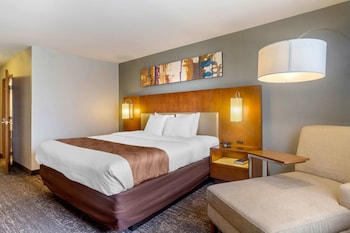 Room, 1 King Bed, Accessible, Non Smoking