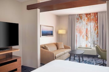 Suite, 1 King Bed with Sofa bed