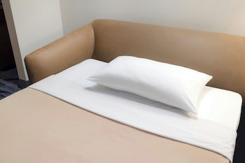 Suite, 1 King Bed with Sofa bed
