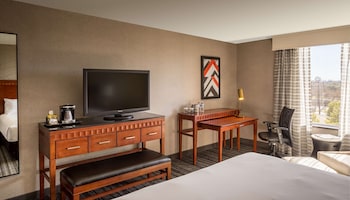 Room, 1 King Bed, Accessible (Mobility & Hearing, Roll-in Shower)