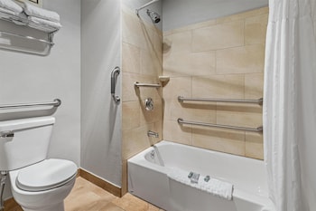 Standard Room, 1 King Bed, Accessible, Bathtub (Bathtub or Shower)
