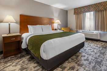 Standard Room, 1 King Bed, Non Smoking, Refrigerator