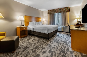 Standard Room, 1 King Bed, Accessible, Bathtub (Bathtub or Shower)