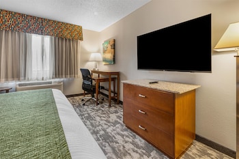 Standard Room, 1 King Bed, Non Smoking, Refrigerator