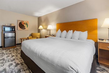 Standard Room, 1 King Bed, Accessible, Bathtub (Bathtub or Shower)
