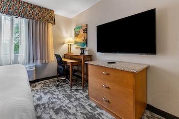 Standard Room, 1 King Bed, Accessible, Bathtub (Bathtub or Shower)