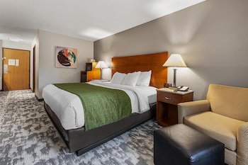 Standard Room, 1 King Bed, Non Smoking, Refrigerator