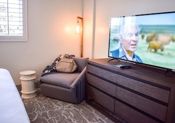 Suite, 1 King Bed