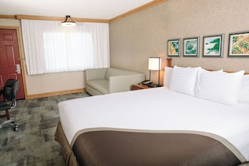 Standard Room, 1 King Bed with Sofa bed