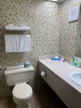 Deluxe Room, 1 King Bed, Smoking, Kitchen (Ground Floor)
