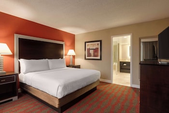 Suite, 1 King Bed with Sofa bed