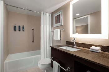 Suite, 1 King Bed with Sofa bed