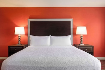 Suite, 1 King Bed with Sofa bed