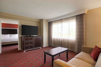 Suite, 1 King Bed with Sofa bed
